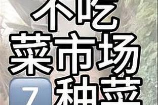 开云app官网入口网址大全截图2